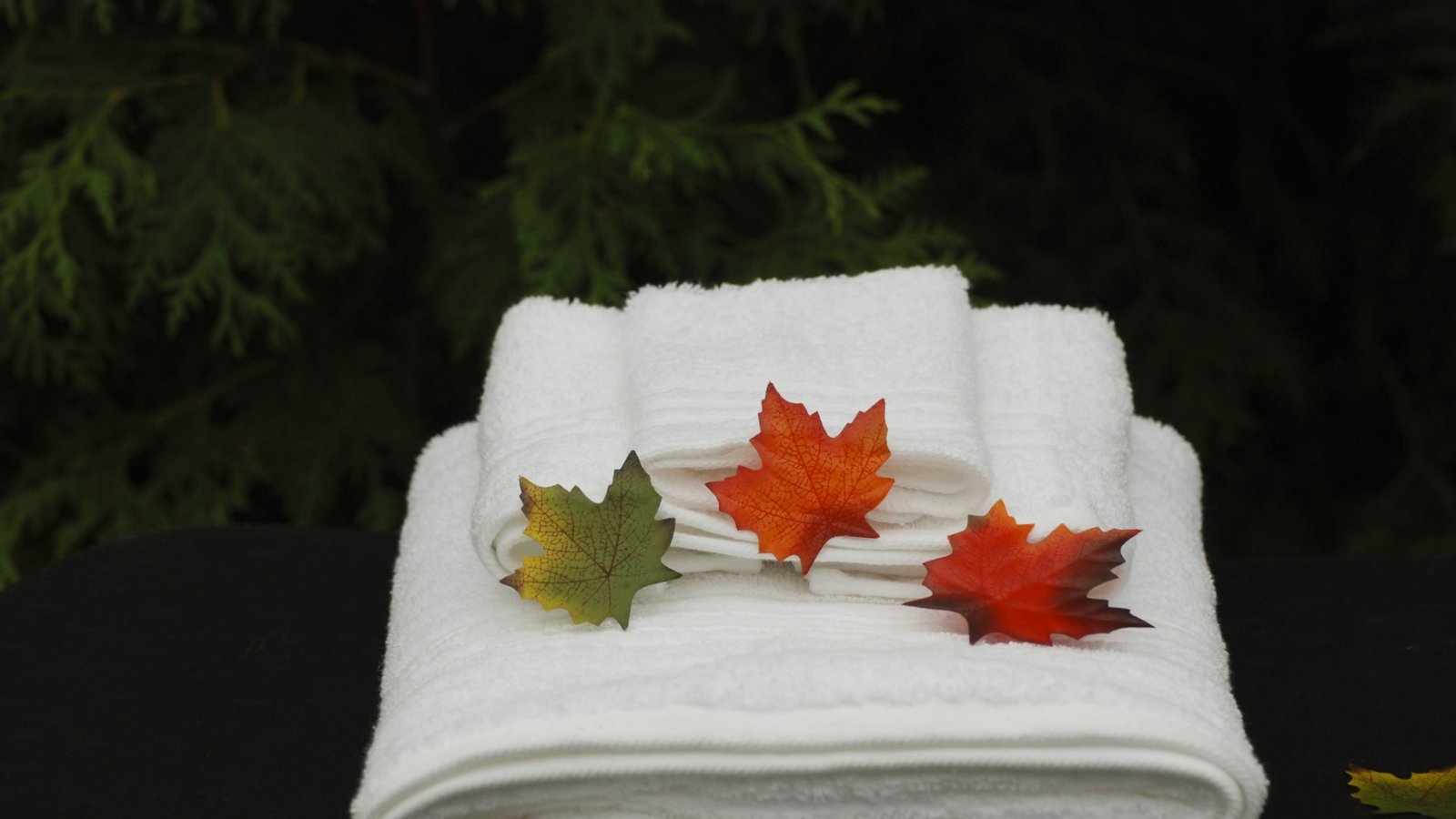 HAND TOWELS